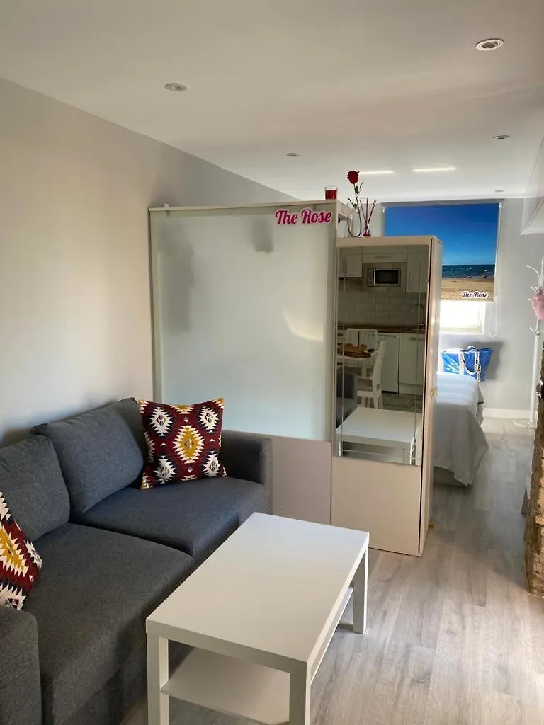 Apartamento Atico Loft The Rose 48 Cádiz España