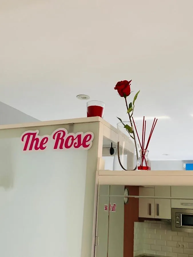 דירות קדיז Atico Loft The Rose 48