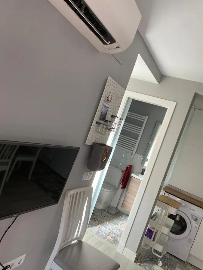 Apartamento Atico Loft The Rose 48 Cádiz